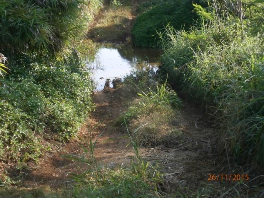 ที่ดิน เขาใหญ่ 1 ไร่ ที่ดิน เขาใหญ่ 1 ไร่