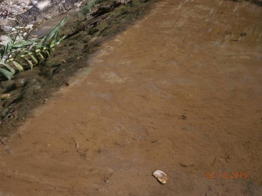 ที่ดิน เขาใหญ่ 1 ไร่ ที่ดิน เขาใหญ่ 1 ไร่