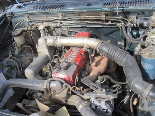 ขายบิ๊กเอ็มแค๊ปใหญ่ฝาแดง