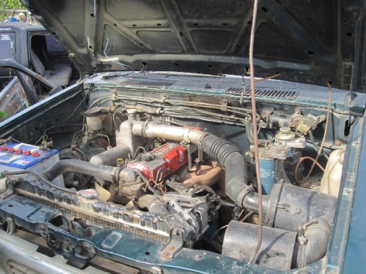 ขายบิ๊กเอ็มแค๊ปใหญ่ฝาแดง