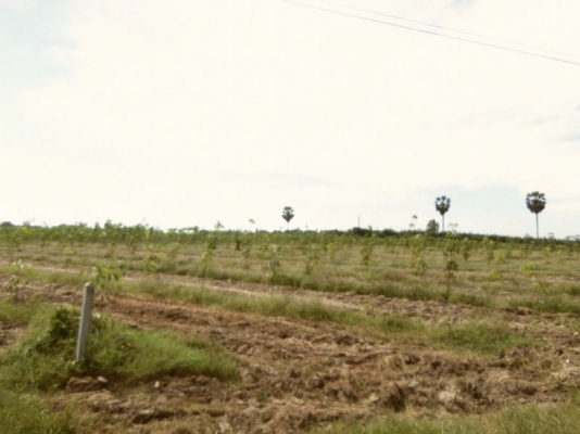 ขายที่ดิน จ.ชลบุรี ติด ถ.331 เข้าซอยประมาณ 800 ม 30 ไร่ 1 งาน เหมาะสร้างโรงงาน โกดัง บ้านจัดสรร ไร่ละ ราคา 750000 บาท ขายที่ดิน จ.ชลบุรี ติด ถ.331 เข้าซอยประมาณ 800 ม 30 ไร่ 1 งาน เหมาะสร้างโรงงาน โกดัง บ้านจัดสรร ไร่ละ ราคา 750000 บาท