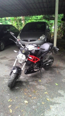 ขาย Gpx demon
