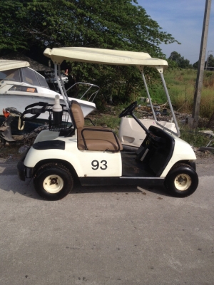 ขายรถกอล์ฟไฟฟ้านำเข้า