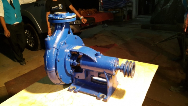 หอยโข่ง มิตซูแท้ ของนอก