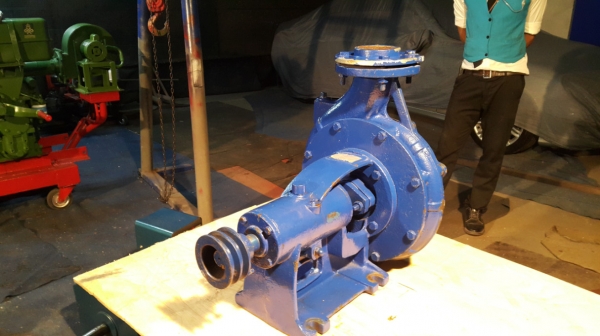 หอยโข่ง มิตซูแท้ ของนอก