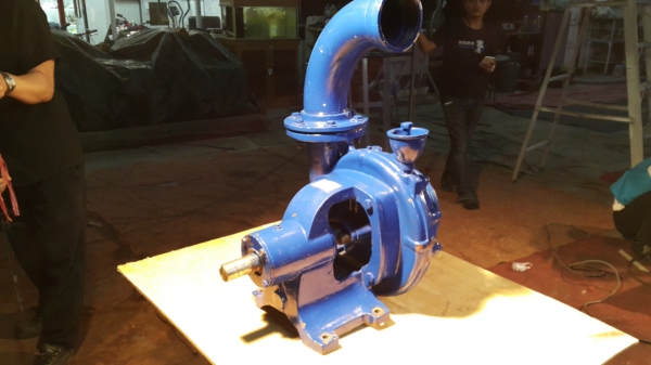 หอยโข่ง มิตซูแท้ ของนอก