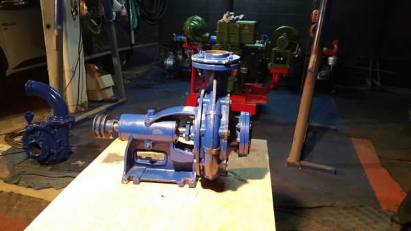 หอยโข่ง มิตซูแท้ ของนอก