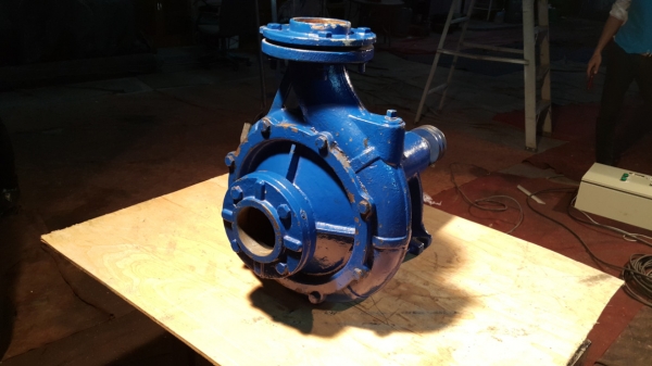 หอยโข่ง มิตซูแท้ ของนอก