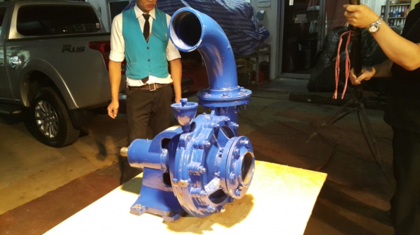 หอยโข่ง มิตซูแท้ ของนอก