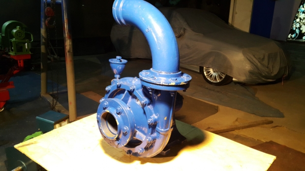 หอยโข่ง มิตซูแท้ ของนอก