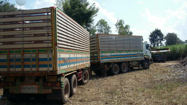 ขายรถพ่วง 22 ล้อ แม่-ลูก กระเนียมคอกเกษตรดั้ม ISUZU 360 ปี.52-53 มี 2 พ่วง สวยๆ ราคา2500000 ต่อรอง สนใจนัดดูรถได้เลยครับ