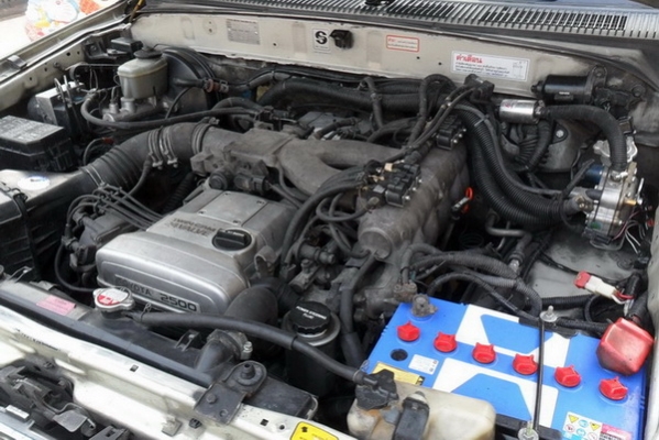 ช้างเหยียบ 620 ช้างเหยียบ 620