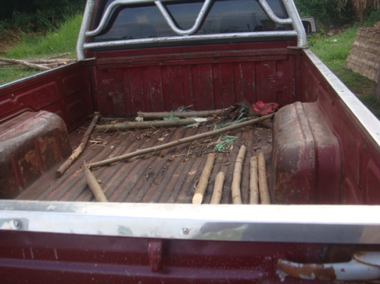 ขายรถกระบะ NISSAN BIG M เครื่องZ16เดิมๆติดLPG ถังโดนัด ขายรถกระบะ NISSAN BIG M เครื่องZ16เดิมๆติดLPG ถังโดนัด