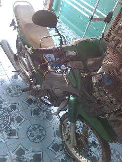 คาวาซากิ เชียร์