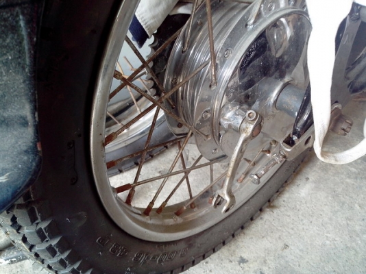 ขายโครงหมู 7500