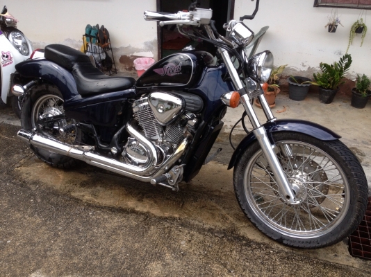 ขาย honda steed600ccครับ