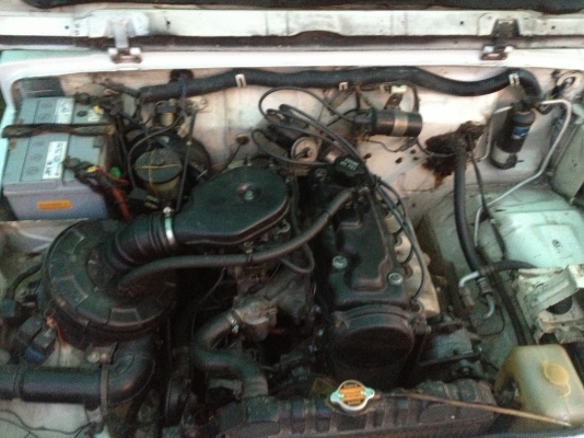 ขาย ซูซูกิ คาริเบี้ยน ขาย ซูซูกิ คาริเบี้ยน