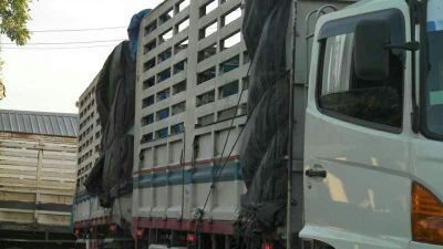 รถฮีโน่ 10 ล้อ รั่ว   344 แรงม้า    ( มีขาย 5 พ่วง )    สนใจติดต่อ 081 - 6079515