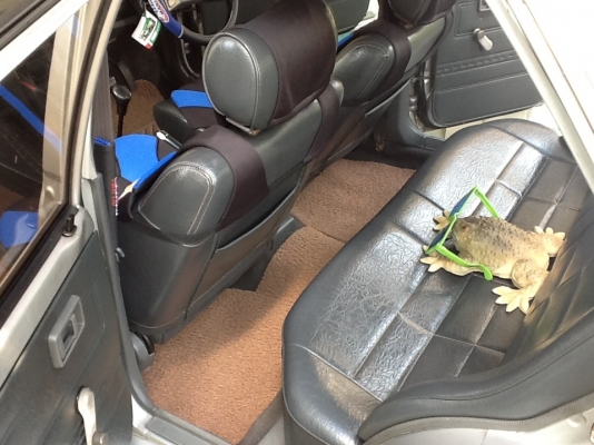 SUNNY FF ปี93 รถมือเดียว SUNNY FF ปี93 รถมือเดียว