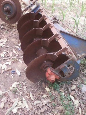 ขายผาน 5*22.  LCS ใบเต็ม โครงสวย ราคา11,500 บาท