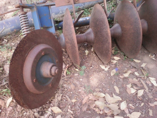 ขายผาน 5*22.  LCS ใบเต็ม โครงสวย ราคา11,500 บาท