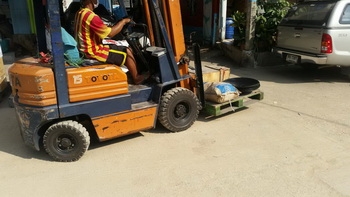 จัดส่งแม่แรง จำนวน 10 ตัว ให้ลูกค้า สุรินทร์แล้วนะครับ ที่ขนส่ง สาย 2 ขอบคุณครับ