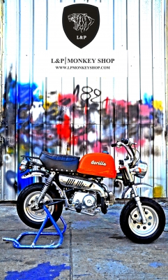 #จัดโปโมชั่นต้อนรับปีใหม่ 2016.มังกี้ กอลิล่า เดิม ราคาสุดๆ เริ่มต้นเพียง 2XXXX  แต่งๆๆ ลดราคาทุกรุ่นและมีของแถมอีกมากมาย  ด่วนๆๆ ลดๆๆ   เริ่มต้นราคา ที 22999