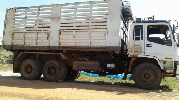 พ่วงดั้นแม่ลูก