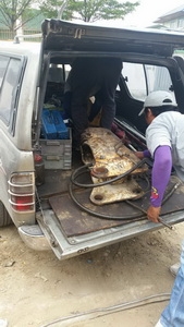 อันนี้จัดส่งไปใช้ที่ สมุทรปราการครับ หัวเจาะ หัวกระแทก เบรคเกอรื สำหรับ รถขุด แบคโฮ เล็ก ขอบคุณครับ อันนี้จัดส่งไปใช้ที่ สมุทรปราการครับ หัวเจาะ หัวกระแทก เบรคเกอรื สำหรับ รถขุด แบคโฮ เล็ก ขอบคุณครับ