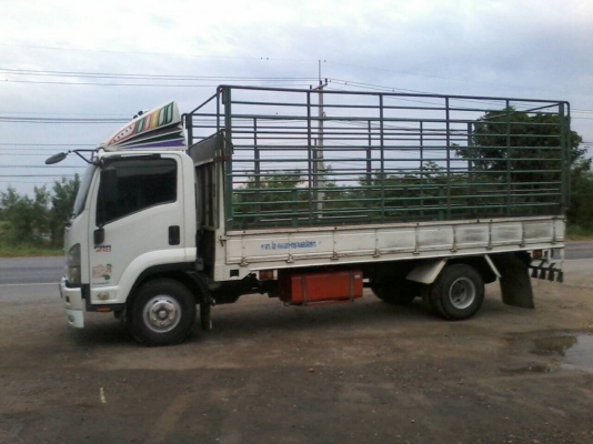 ขาย6ล้อISUZU FRR210 หัวตึกยูโร3 กระบะพร้อมคอกยาว5.50เมตรจดปี52 ขาย6ล้อISUZU FRR210 หัวตึกยูโร3 กระบะพร้อมคอกยาว5.50เมตรจดปี52