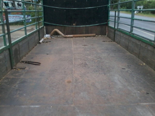 ขาย6ล้อISUZU FRR210 หัวตึกยูโร3 กระบะพร้อมคอกยาว5.50เมตรจดปี52 ขาย6ล้อISUZU FRR210 หัวตึกยูโร3 กระบะพร้อมคอกยาว5.50เมตรจดปี52