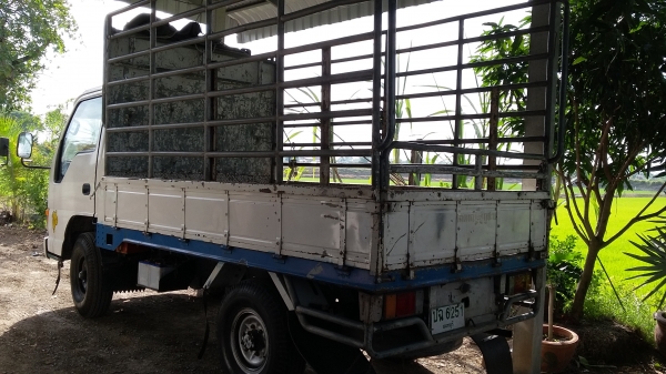 ขาย 4 ล้อNKR ป้ายเล็กไม่ติดเวลาหัวทรงสูง แหนบหน้า-หลัง สวยๆขับสบายแอร์หนาว