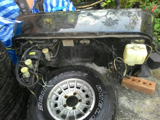 คอจิ้งหรีดจิ๊ปมิตซู