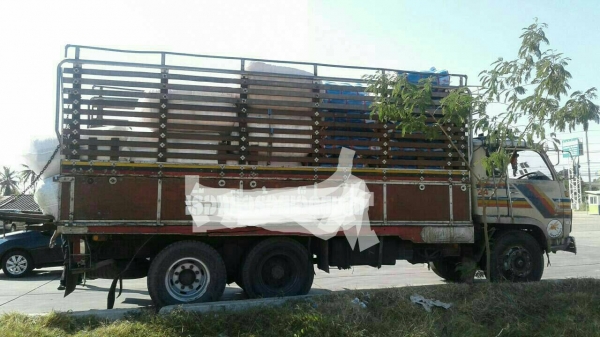 สิบล้อ อีซูซุ JCM 175เพาเดียว พ.เวอร์ ทิฟฟี ช่วงยาว6.20ม สภาพดีสวยเดิมๆกร้อมใช้ ทะเบียนภาษีเต็มปี59 พร้อมโอน