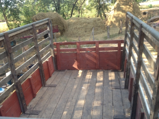 ขายนางแต๋น  พร้อมใช้ เครื่องเกี่ยร์  isuzu  74 แรง