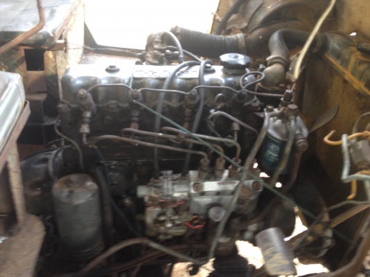 ขายนางแต๋น  พร้อมใช้ เครื่องเกี่ยร์  isuzu  74 แรง