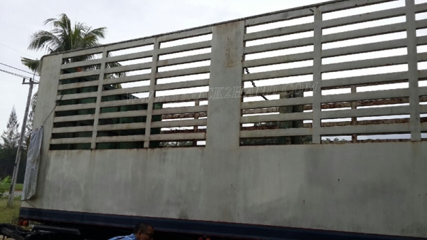 หางคอกสูง กว้าง 2.50 เมตร ยาว 6 เมตร เพาเหลี่ยม (หน้า-หลัง)