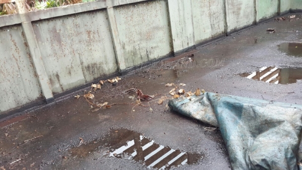 หางคอกสูง กว้าง 2.50 เมตร ยาว 6 เมตร เพาเหลี่ยม (หน้า-หลัง)