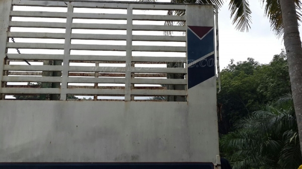 หางคอกสูง กว้าง 2.50 เมตร ยาว 6 เมตร เพาเหลี่ยม (หน้า-หลัง)