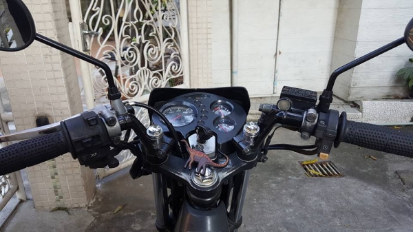 ขออนุญาติขาย HONDA SONIC NEW 125 รุ่นสุดท้าย ตัว TOP ล้อแม็กแท้ สตาร์ทมือ ขออนุญาติขาย HONDA SONIC NEW 125 รุ่นสุดท้าย ตัว TOP ล้อแม็กแท้ สตาร์ทมือ