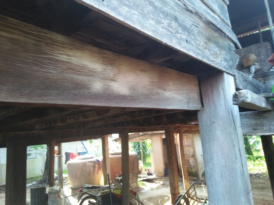 ขายบ้านไม้