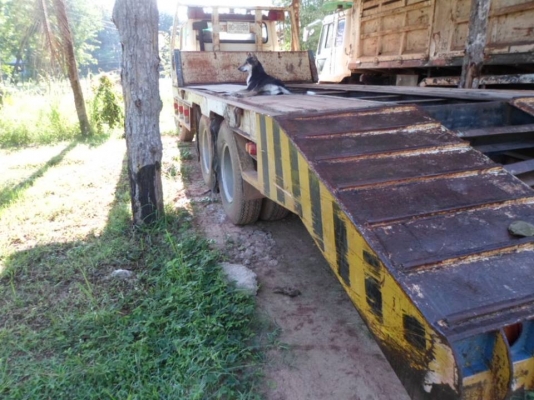 **410,000 บ.ต่อรอง/// 10ล้อเทนเลอร์ HINO KT-168HP เพลาเดียว ท้ายลาดขน-ย้าย แบคโฮ PC200 เล่มทะเบียนครบ **ขาย เทนเลอร์ HINO KT929 168แรง 10ล้อ1เพลา ท้ายลาด ขน-ย้าย แบคโฮ ขนาดPC200 สภาพพร้อมใช้งาน เล่มทะเบียนภาษีเต็ม HINO KT929 EH700-168HP เครื่องนอก วางใหม่