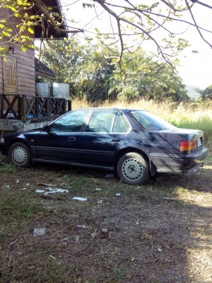 Honda Accord Honda Accord