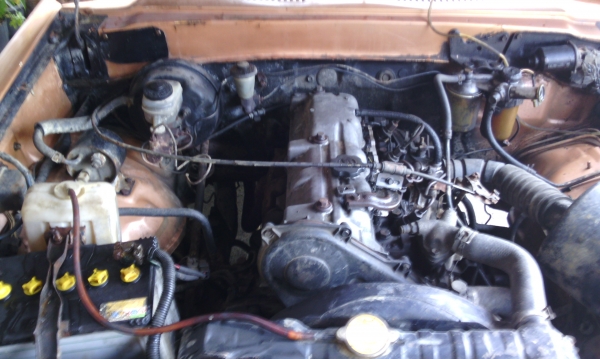 ขายม้ากระโดด (ขายแล้วไปบ้านกรวด ประโคนชัย บุรีรัมย์)