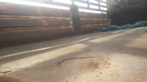 ขายลูกพ่วงดั้ม สองเพลา คานหาม zm แบรกแห้ง คัชชีใหญ่ 14 นิ้ว เดิมวิ่งกระลา มะพร้าง วิ่งแต่ของเบา คัชชีสวยมาก ยางพร้อมใช้ เอกสานพร้อมโอน