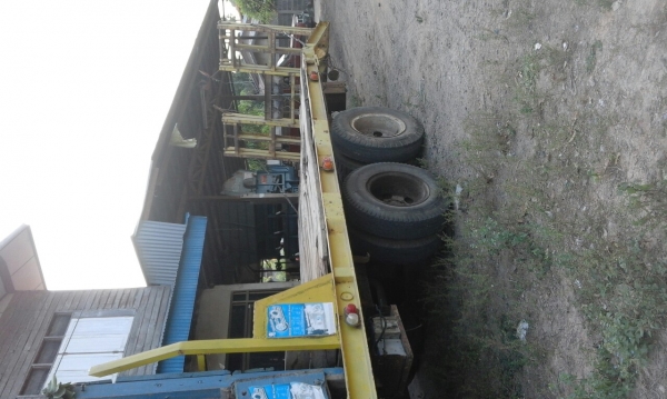 ขายเทเลอหัวยาว