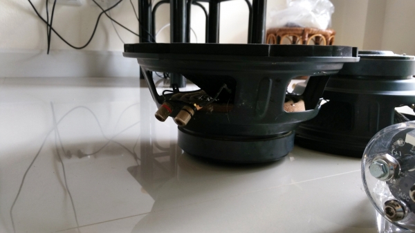 ขายลำโพงดอก 10'' วอยส์คู่ + capa + twister