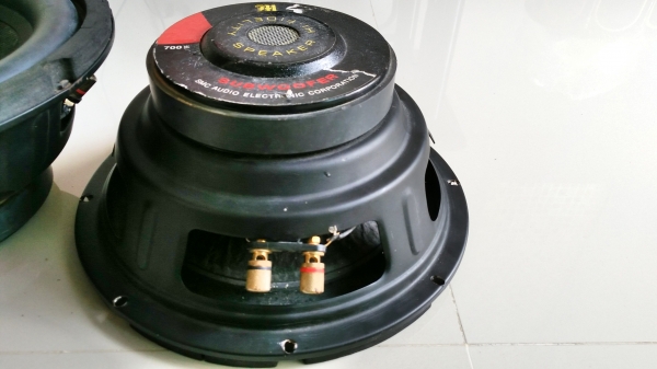 ขายลำโพงดอก 10'' วอยส์คู่ + capa + twister