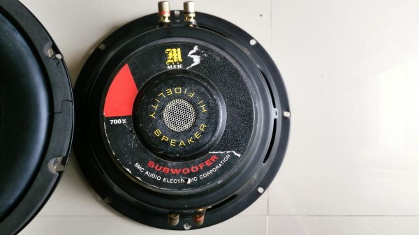 ขายลำโพงดอก 10'' วอยส์คู่ + capa + twister