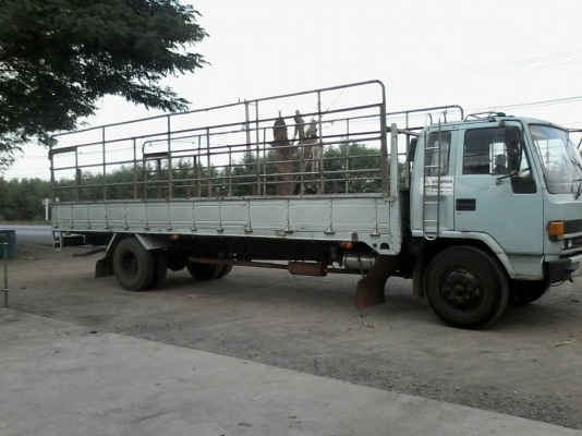 ขาย6ล้อRocky195กระบะคอกยาว8เมตรยางใหม่6เส้นช่วงล่าง8น็อต ขาย6ล้อRocky195กระบะคอกยาว8เมตรยางใหม่6เส้นช่วงล่าง8น็อต